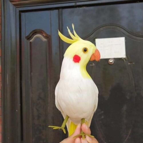 Cute simulation white parrot model foam&furs parrot bird doll gift about 32cm 3005
