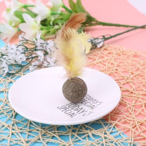 Nature Kitten Cat Feature Toy Teeth Cleaning Cat Catnip Ball Pet Accessories