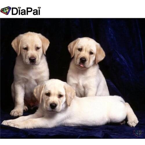 DIAPAI 5D Diy Diamond Painting Cross Stitch "Animal dog" Home Decor Full Rhinestones Inlay Diamond Embroidery A25303