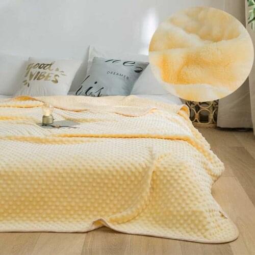 Solid Color Coral Fleece Blanket for Bed Warm Bubble Velvet Thick Throw Blankets Grey Pink Bedsrpead Double King Bed Cover
