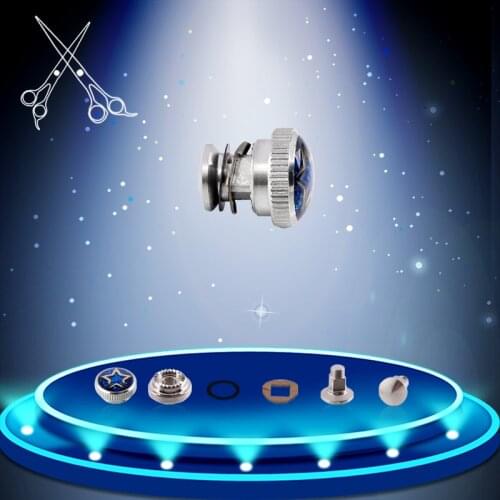 2sets/lot Hairdresser Salon Barber Styling Scissor Parts Full Set Of Metal Screws Tornillo Parafuso Para Barberia Free Shipping