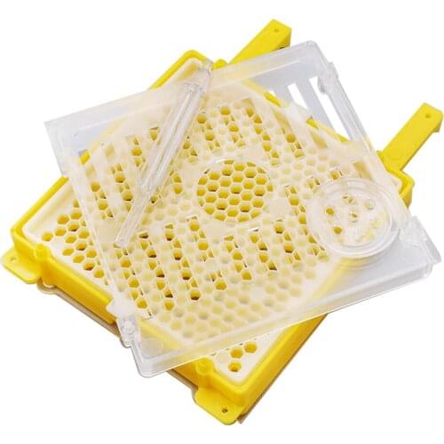 Queen Bee Rearing System Kit for Apiculture Beekeeping Cell Holder Tool