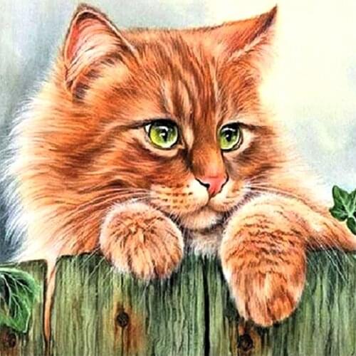 Persian Cat Diamond Painting Animal Cartoon Round Full Drill 5D Nouveaute DIY Mosaic Embroidery Cross Stitch Home Decor Gifts