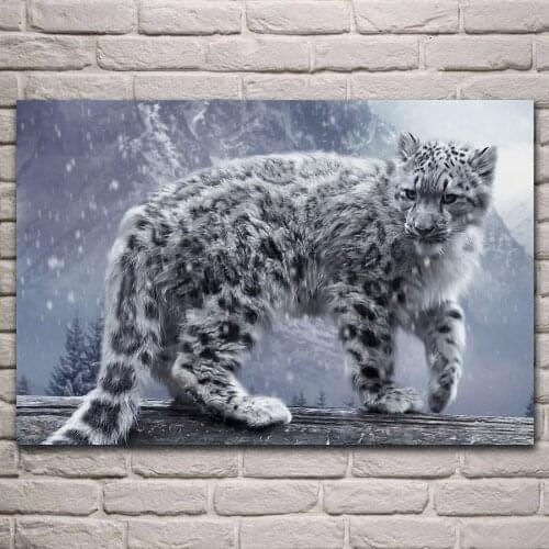 Snow leopard animal fantasy big cat fabric poster living room home wall decorative canvas silk art prints KL723