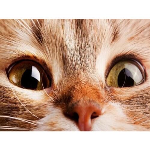 Cat Animal Printed Water-Soluble Canvas 11CT Cross-Stitch Embroidery Full Kit DMC Threads Knitting Craft Needlework Jewelry