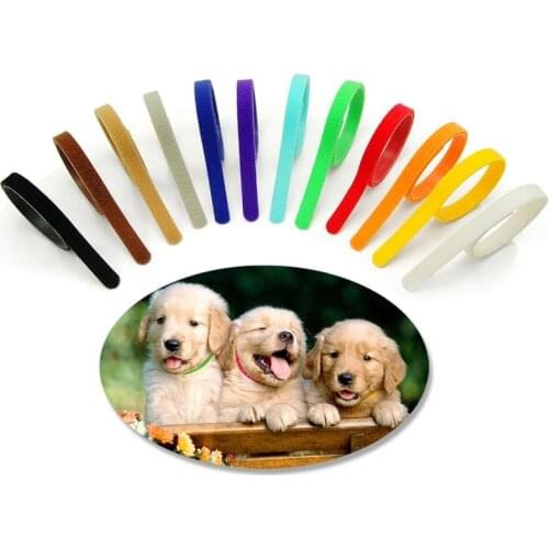 12 Pcs/Set Puppy Newborn Pets Identify Collars Nylon Small Pet Dog Collars Kitten Necklace Whelping Puppy Collars