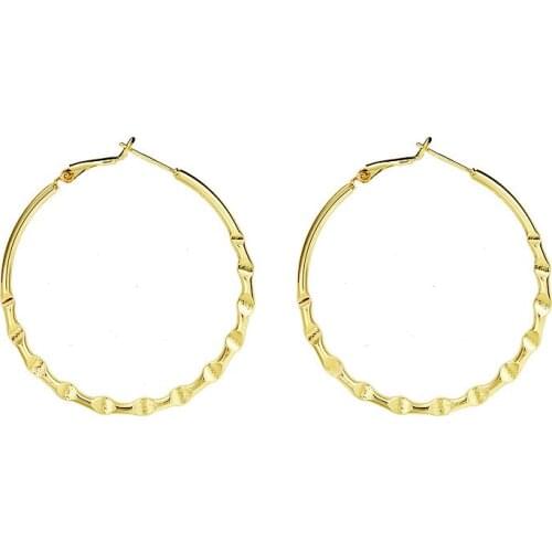 New Earrings Fashion Accessories Metal Retro Hong Kong Style Exaggerated Earrings Design Temperament Earrings Wholesale