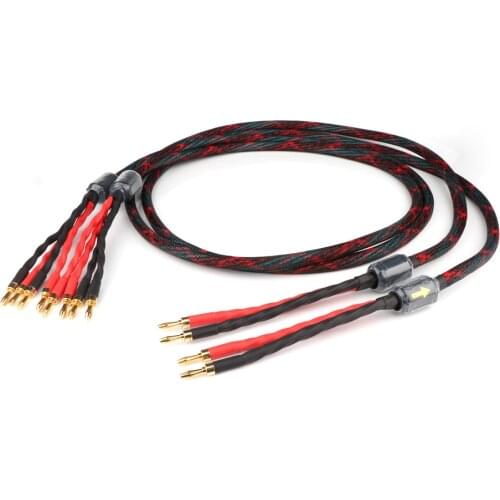 Pair HI-End Western Electric Speaker Cable HIFI Audiophile Cable high purity Copper loudspeaker wire hifi Audio extend wire