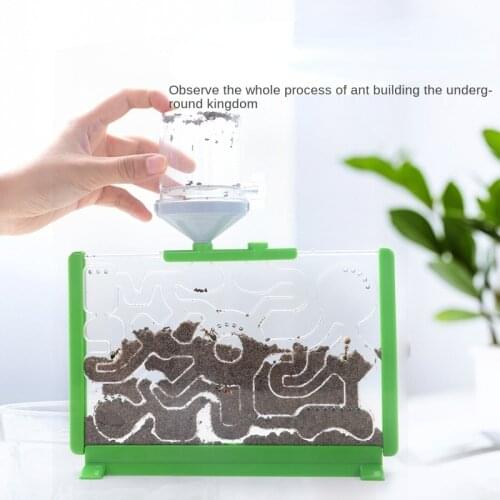 Ant Nest Insect Transparent Observation Artifact Raising Ants Students Children Ants Nest Ecological Nature Teaching Aids
