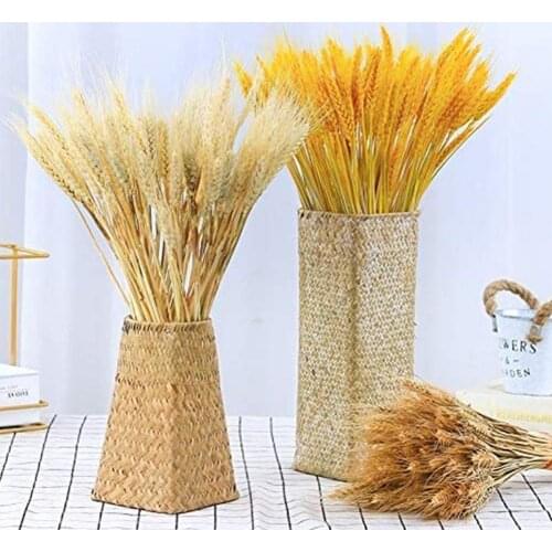10pcs Natural Wheat Ear Dried Flower Bouquet Natural Air-dried Decoration Wedding Party Decoration Flores Artificial Accessories
