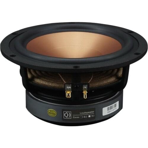 6.5 inch Woofer Speaker 165mm Mid Bass Speaker Unit Deep Bass 8ohm 100W HIfi Home Theater Mediant Woofer Loudspeaker 35 core