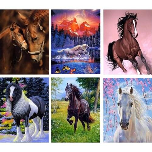 DIY Oil Painting By Numbers Animal Acrylic Paint Unframe Coloring By Numbers Canvas Horse For Adults Handpainted Gift