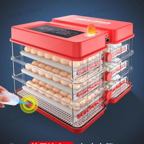 Incubator Small Automatic Egg Incubator Household Intelligent Mini Incubator Chick Duck Goose Pigeon Bird Incubator