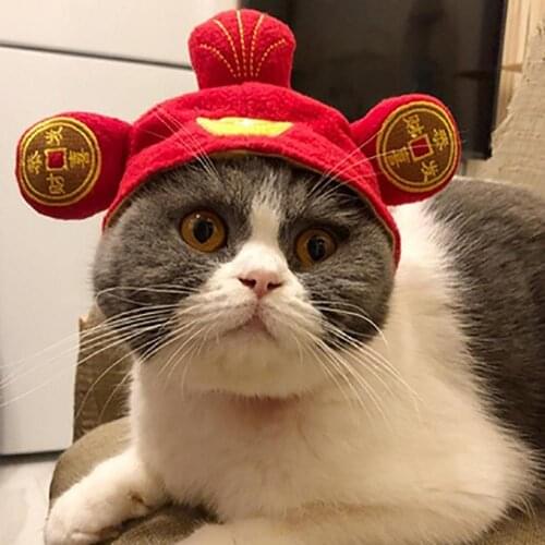 Dog Caps Cute Pet Dogs Teddy Cat Cotton Plush Hat Puppy Dress Up Headgear Head Decoration Одежда для собак