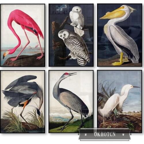 Vintage Pink Flamingo Toucan Bird Owl Blue Heron White Egret Canvas Painting Audubon Bird Posters Wall Art Pictures for Bedroom