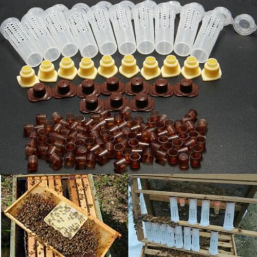 100 Set/lot Beekeeping Tools Equipment Set Beekeeping Rearing Cup Kit Queen Bee Hair Roller Cages Cell Cup Holder Cell Fixtures