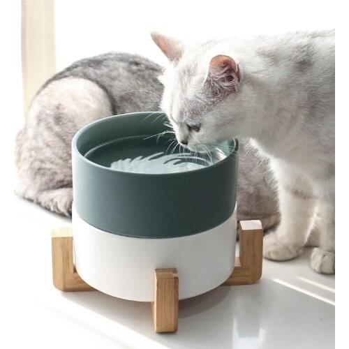 Ceramic Cat Food Bowl with Wood Stand Set No Spill Non Slip Pet Eco Friendly Supplies 850ml Cats Dogs Feeding Drinking Bowls
