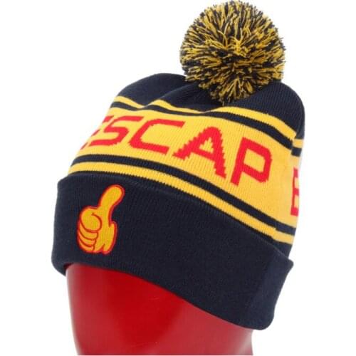 Pom Pom Beanie Hat Winter Hats Custom Logo Bonnets Knitted Hat Free Shipping