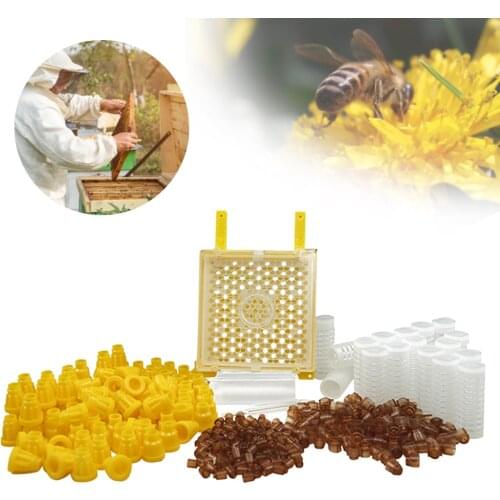 Germany Jenter Queen Rearing Kit Nicot Bee Queens Rearing System Queen Bee Larva Move Cage Goods Tool For Beekeeper Supplies