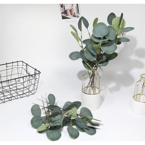 Natural Eucalyptus Leaves Branches Stems Dried Flower Real Palnt Ornament for DIY Wedding Shooting Prop Home Decoration Supplies