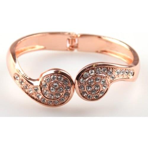 Alloy Crystal Earplug Cuff for Women Charm Bracelet Bangle Vintage Jewelry