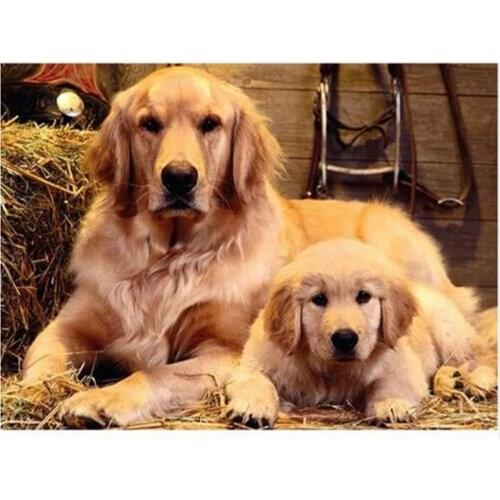 Animal Dachshund Printed Water-Soluble Canvas 11CT Cross-Stitch Full Kit Embroidery DMC Threads Knitting Hobby Craft Counted