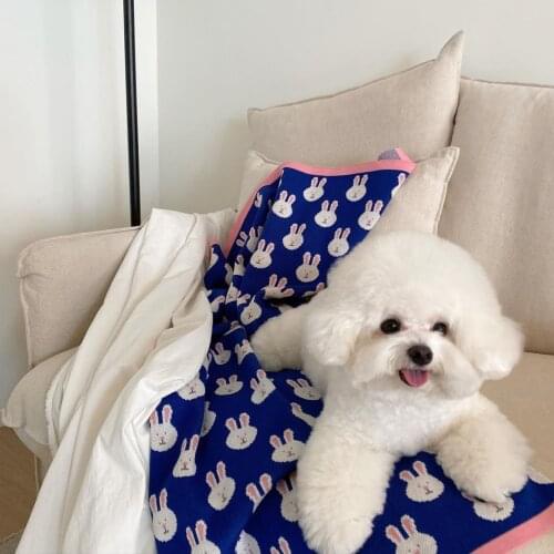 Blue Pet Blankets Air Conditioner Quilt Outdoor Picnic Mat Cute Dog Accessories Comfortable Pet Bath Towel