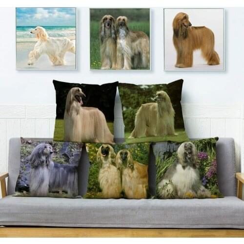 Elegant Afghan Hound Dog Cushion Covers Pillow Case Car Sofa Home Decor Pet