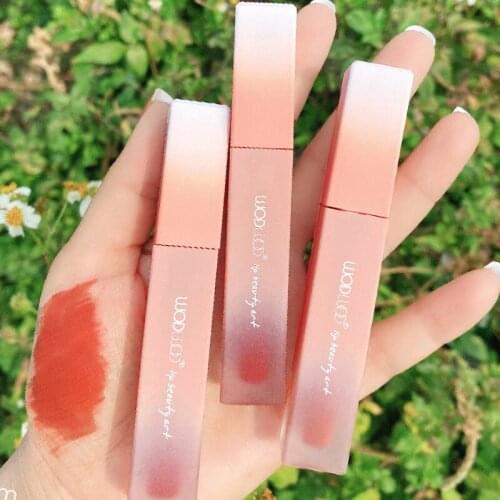 Twilight Powder Mist Lip Mud Matte Lipstick Female Student Cheap White Lip Glaze Lip Gloss Makeup Lasting TSLM1