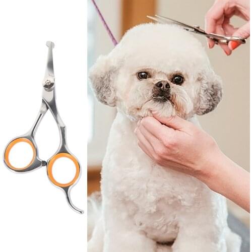 Professional Pet Hair Scissor Stainless Steel Durable Safety Rounded Tips Cat Dog Hair Cutting Tools Pets Grooming Supplies