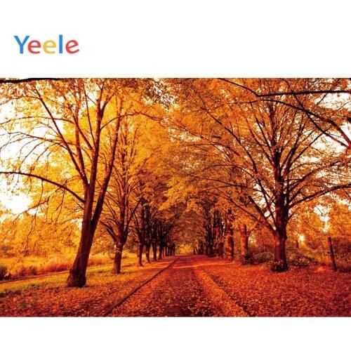 Yeele Autumn Forest Red Leaves Road Portrait Party Decoration Photographic Backgrounds Photography Backdrops For Photo Studio