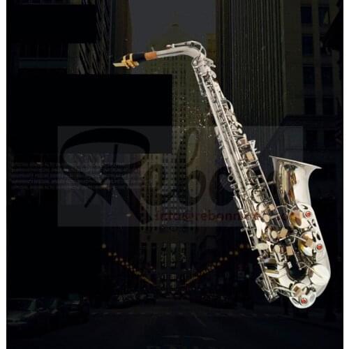 Weifang Rebon Eb Key Nickel Silver Alto Saxophone
