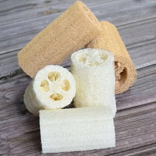 LNRRABC Natural Body Brushes