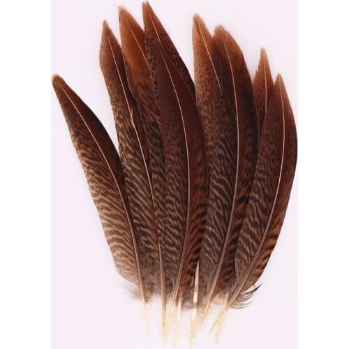New 10pcs/lot beautiful pheasant feathers 15-20cm/6-8inches Christmas Accessories carnival Home For DIY plumes