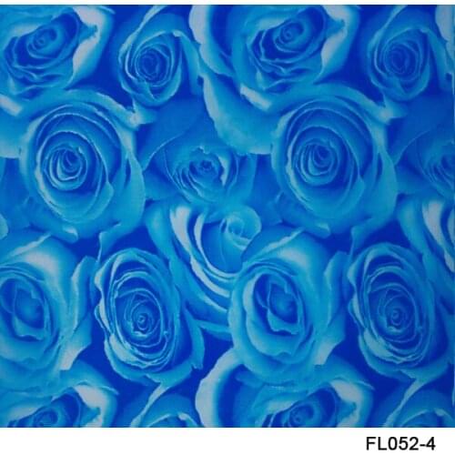 TSAUTOP Size 0.5m x 20m hydro dipping film transfer print film WDF052-4