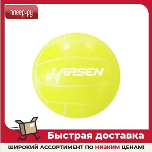 Larsen Volleyball Equipment