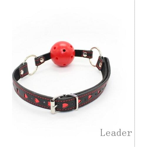 Hollow Sphere with Dual Ring Adjustable Heart-Shaped Bondage Strap Mouth Gag BDSM Adult Games Product for Couples XN0048