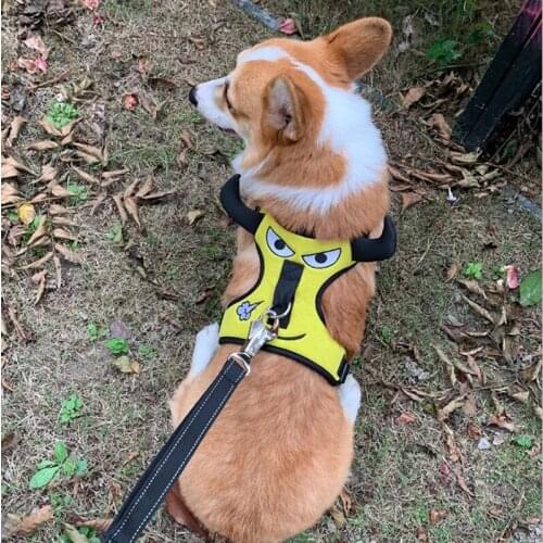 Nylon Reflective Dog Traction Rope Breathable Vest Pet Chest Strap Cute Horn Suspender Suit Small And Medium Dogs
