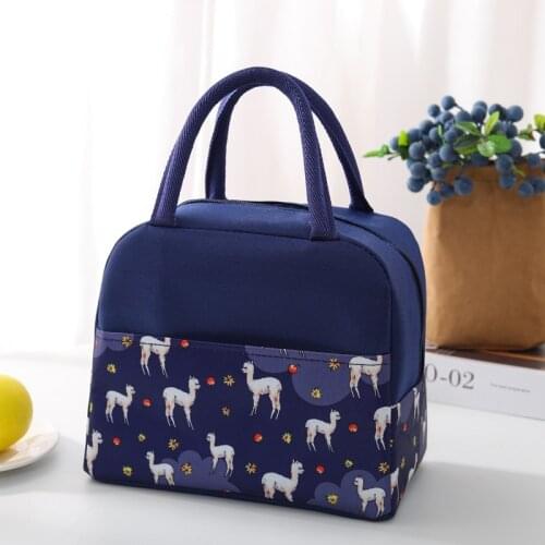 Lunch Bags Box Functional Pattern Cooler Waterproof Oxford Cloth Women Kids Fashion Convenient Picnic Carry Tote Food Handbag