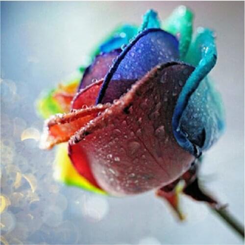 Round Square Diamond Painting 5D DIY Rose Painting Embroidery Landscape Cross Stitch Kit Handmade Home Decoration Gift WG2176