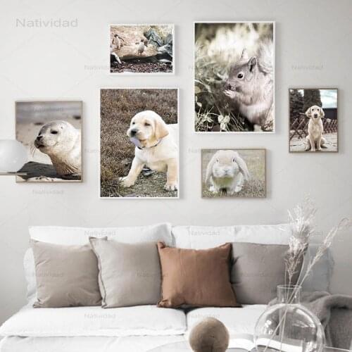 Animals Squirrel Rabbit Dog Seal Penguin Nursery Nordic Posters and Prints Wall Art Canvas Painting Wall Picture Kids Room Decor