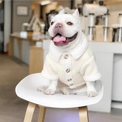 Dog clothes pet winter coat thickened plush pet supplies pet clothes