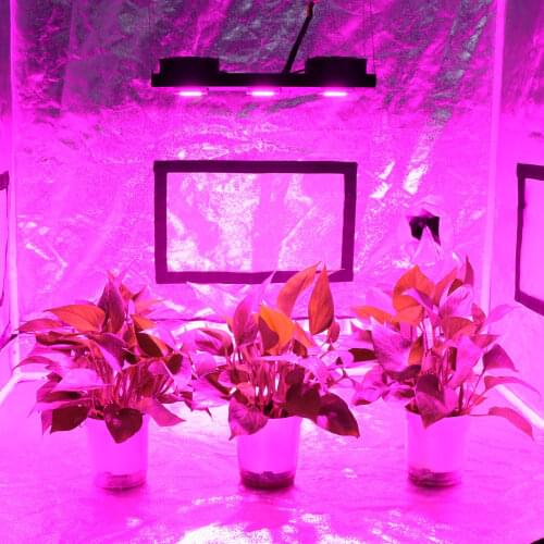 CREE CXB3590 COB 100W LED Grow Light DIY Module 100W Growing Lamp Indoor Plant Without Fan For Hydroponics plant Growth lights