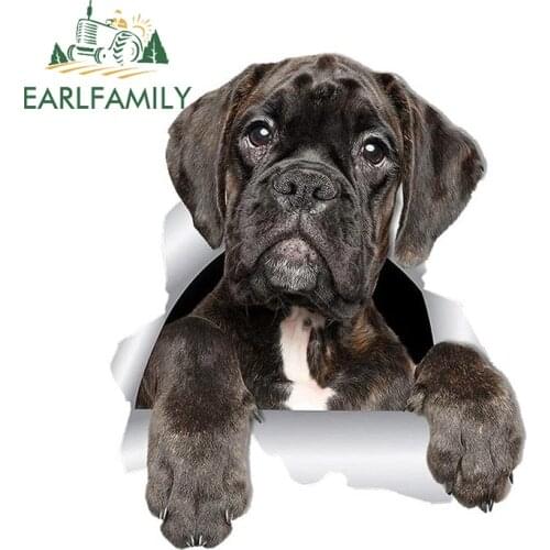 EARLFAMILY 13cm x 10.9cm Cute 3D Boxer Dog Car Sticker Decals for Toilet Refrigerator Kitchen Kids Room Bedroom Door Decoration