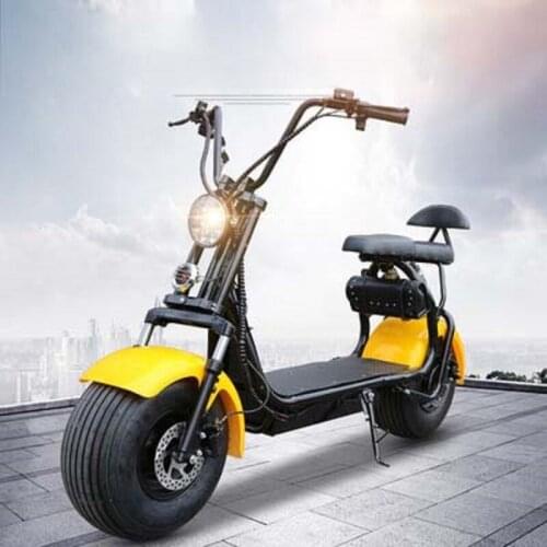 Citycoco Electric Scooter Motorcycle Cycling Bicycle 2Ah Lithium Battery Double Brake Customizable F