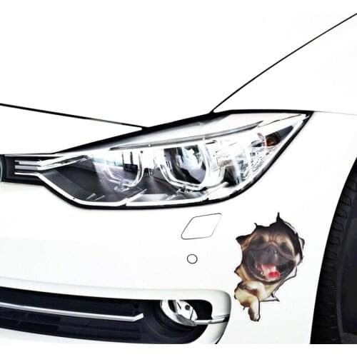 Aliauto Car-styling 3D Simulation Cute Dog Cat Car Sticker Decal for Motorcycle Laptop Smart Volkswagen Polo Golf Ford Focus Bmw