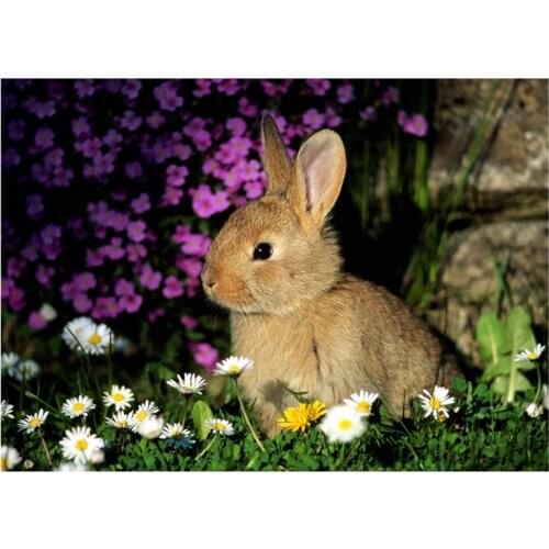 Diamond Embroidery Easter bunny 5D Diy Diamond Painting Full Square Round drills Mosaic Rhinestone Wall Stickers DecorZP-961