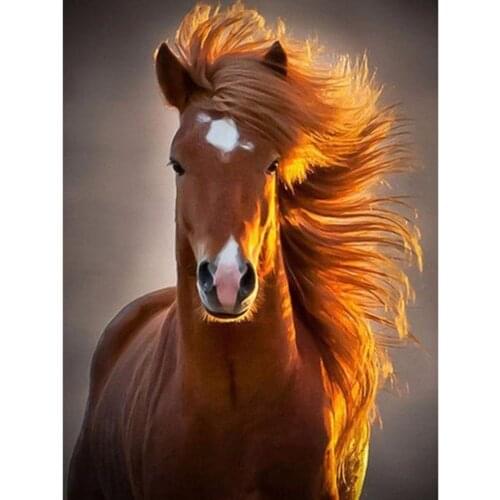 Animal Horse Full Drill Square Round 3D DIY Diamond Painting Set Diamond Mosaic Embroidery Rhinestone Picture Art Prints Hot