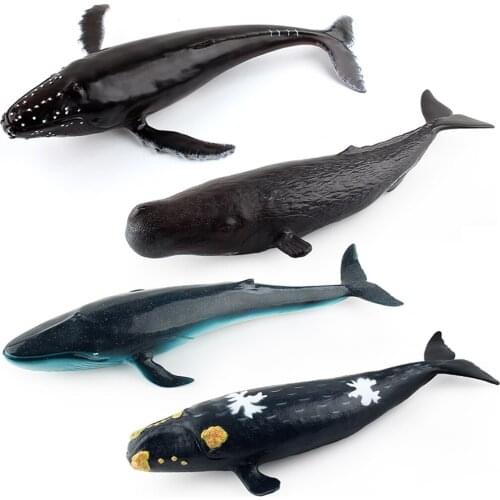 Realistic Ocean Marine Sea Whale Animal Model Education Figure Toy Gift