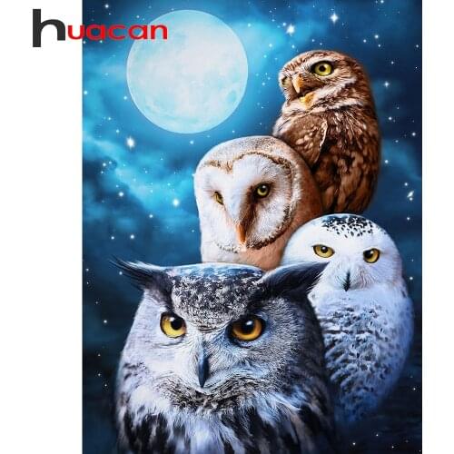 Huacan 5D Diamond Mosaic Cross Stitch Owl Embroidery Set Diamond Painting Art Animals Home Decoration